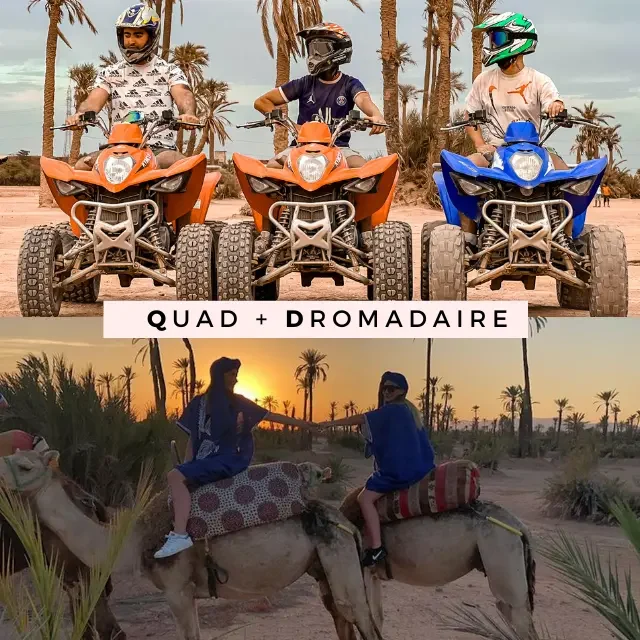 quad-et-dromadaire-qpwm23s39kr2jp0m2d5eopcfnl077dzxg4g6uzqups